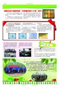 开云手机在线登录入口(中国)开云有限公司报纸108期-2版